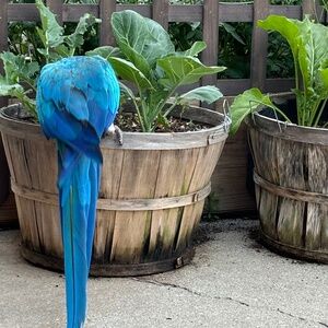 Meet your Posher, Fatima